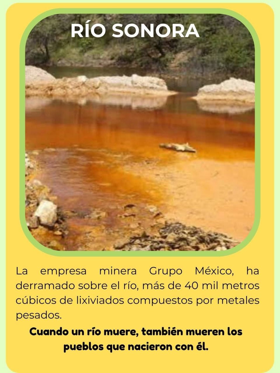 Imagen relacionada con Declaratoria de la séptima Asamblea Nacional por el Agua y el Territorio
