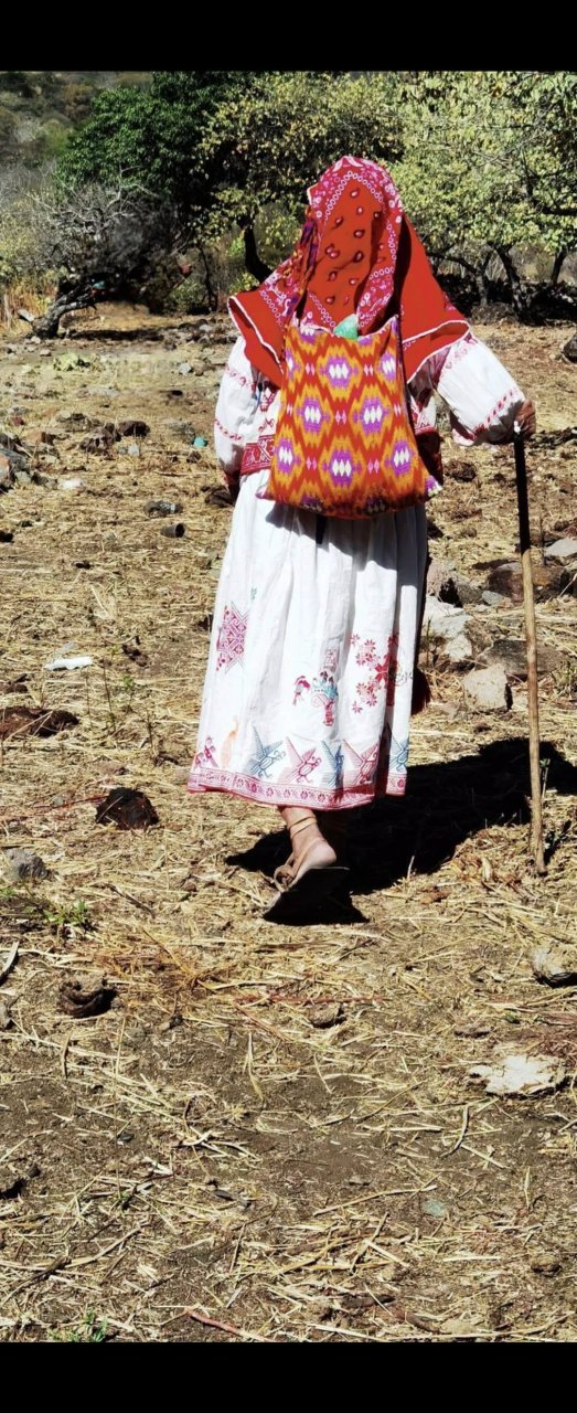 Imagen relacionada con En defensa del pueblo milenario Wixárika, contra el sometimiento y el despojo