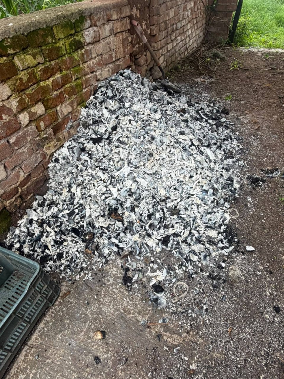 Imagen relacionada con Encuentran crematorio clandestino en Ayutla, Jalisco