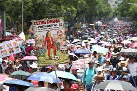Imagen relacionada con ¿Por qué luchan los Trabajadores de la Educación de México?