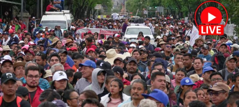 Imagen relacionada con ¿Por qué luchan los Trabajadores de la Educación de México?