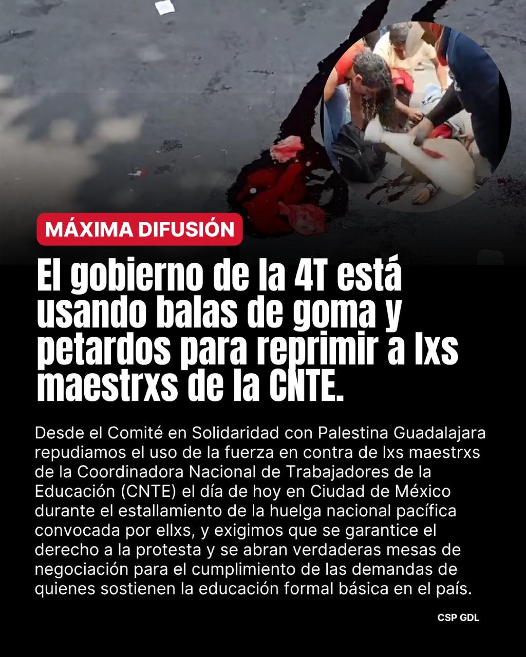 Solidaridad con la lucha de la CNTE del Comité en Solidaridad con Palestina Guadalajara